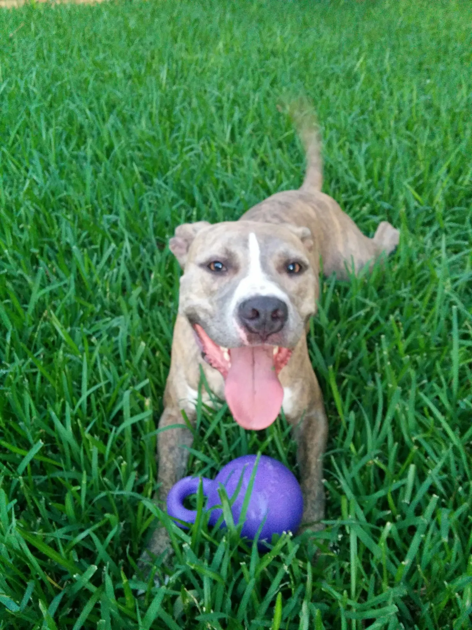 Post ball fetching