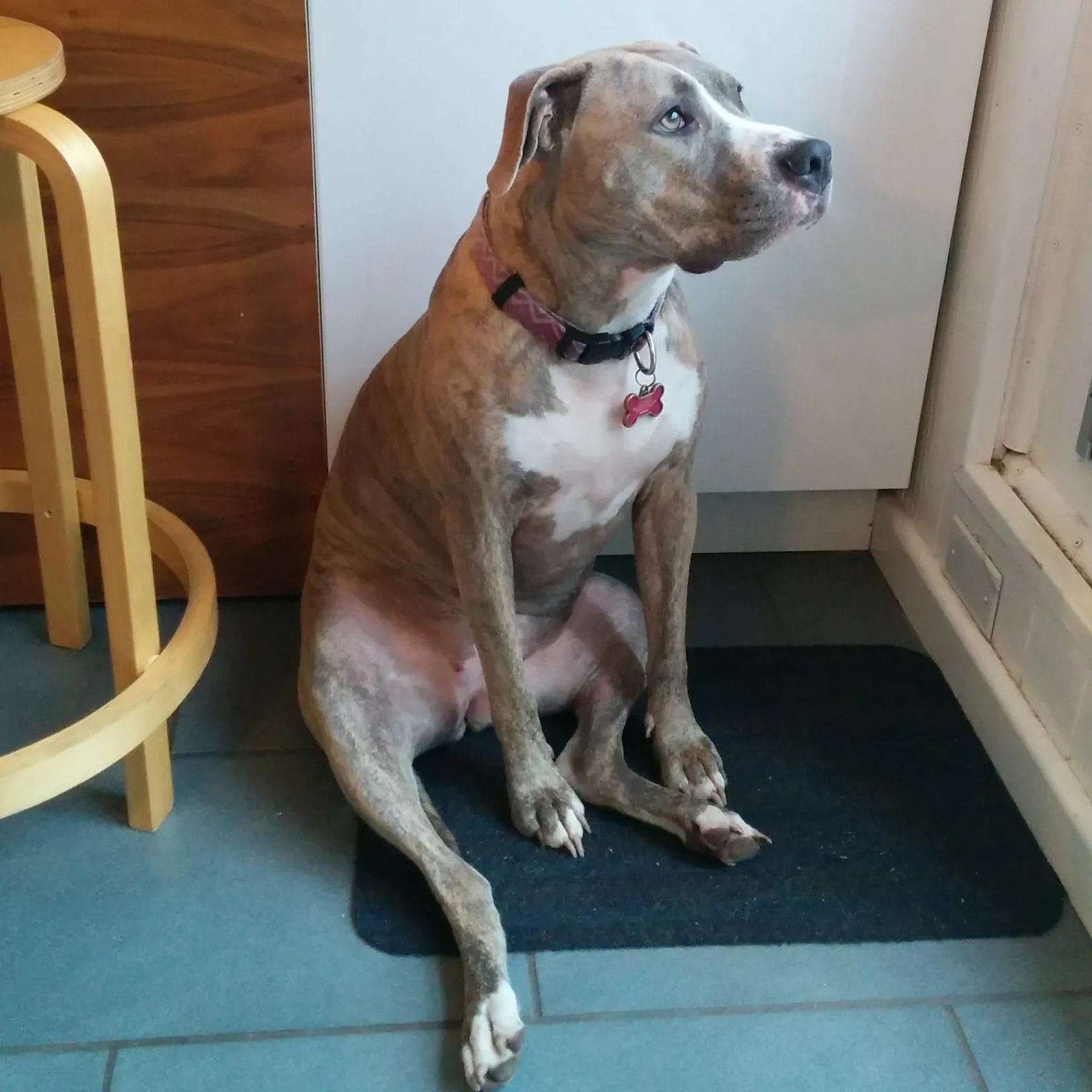 Miss Boots