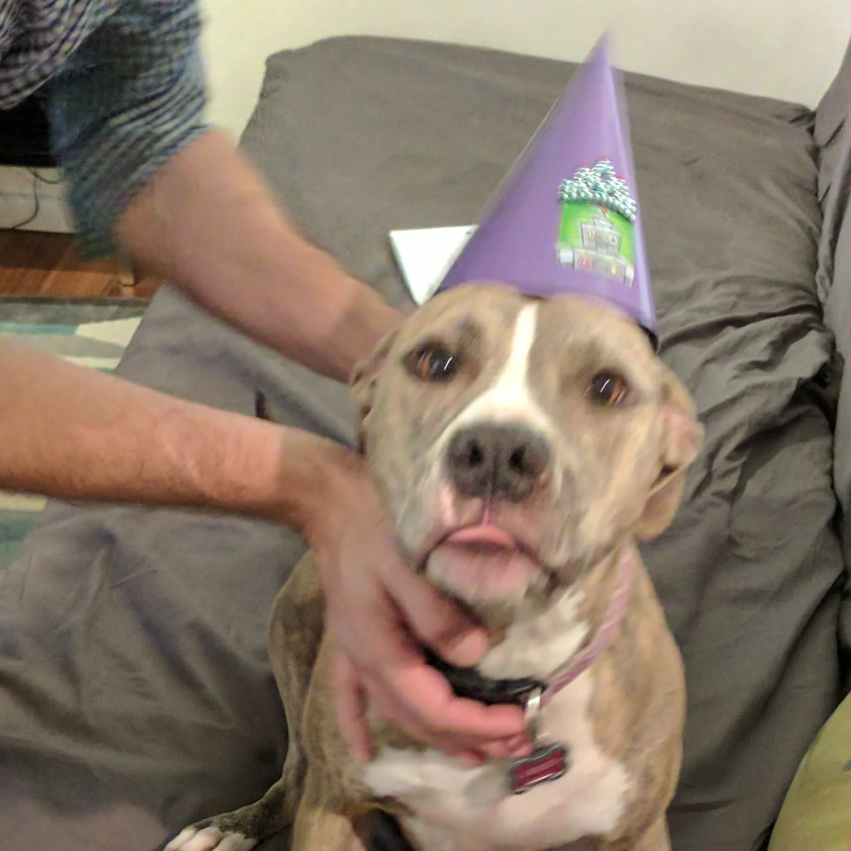 Birfday Hat
