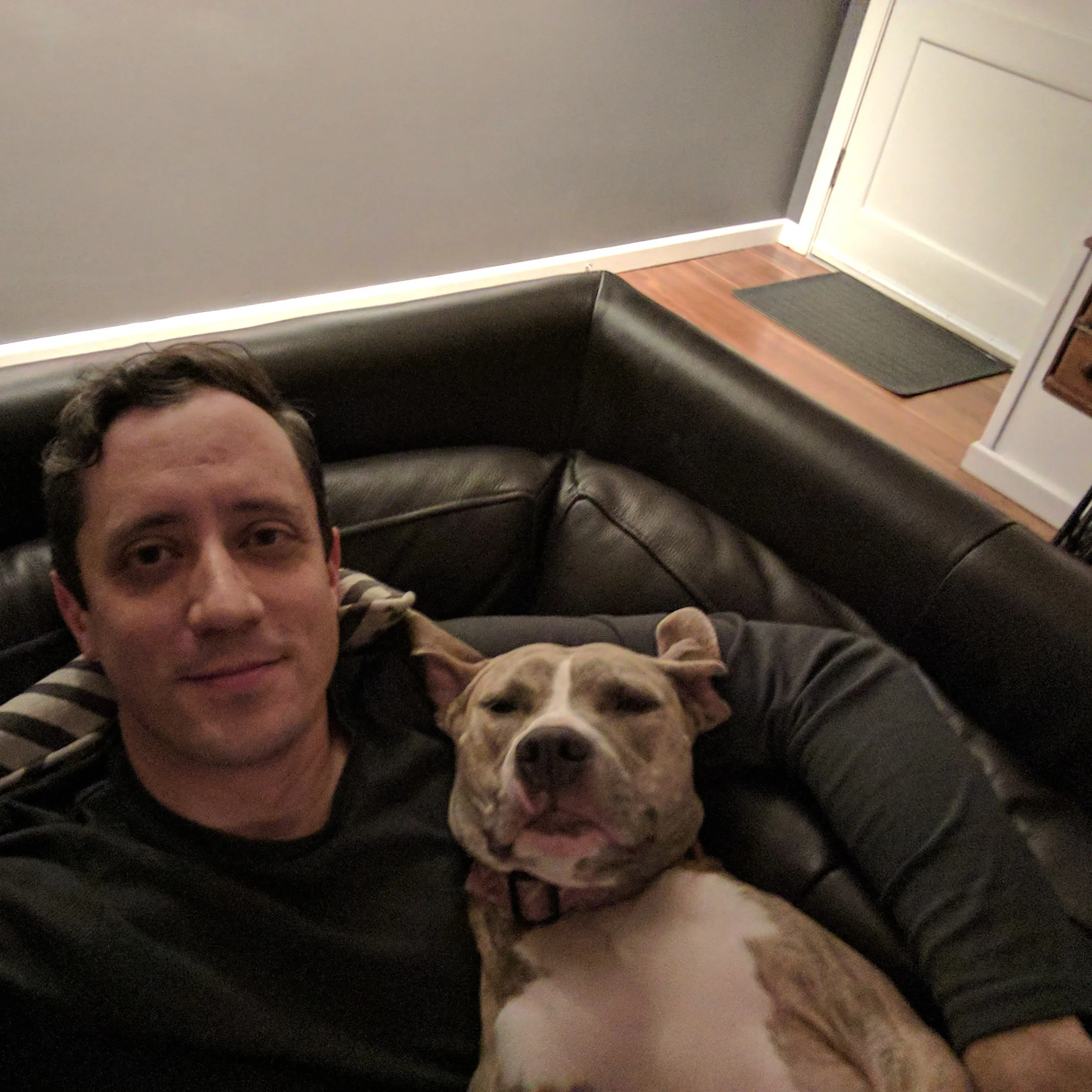 Couch Cuddling
