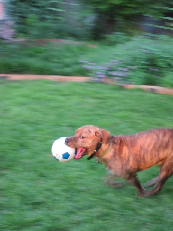 Soccer Rhett!