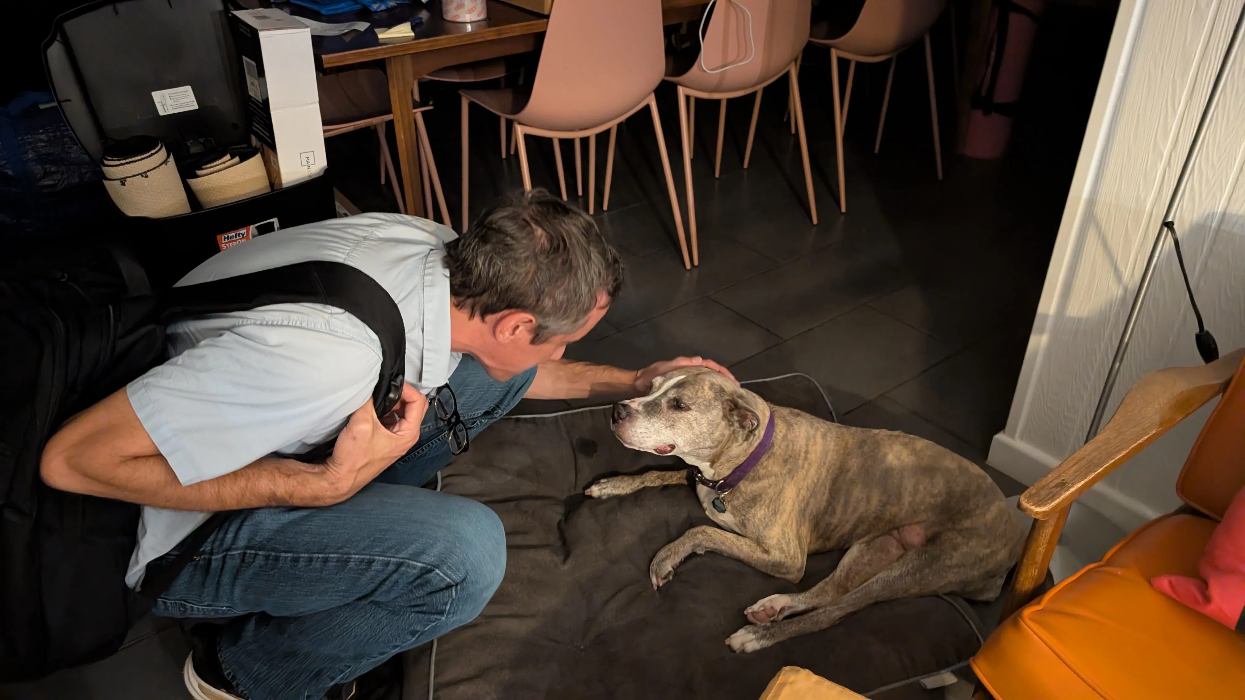 Returning home to love, but no tail wags